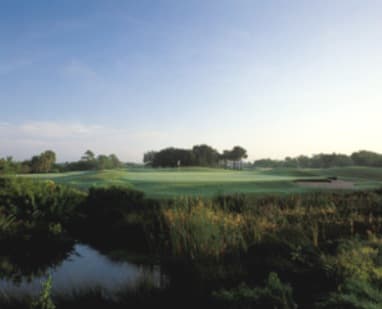 course image