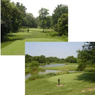 course image