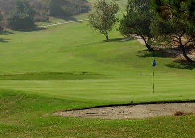 course image