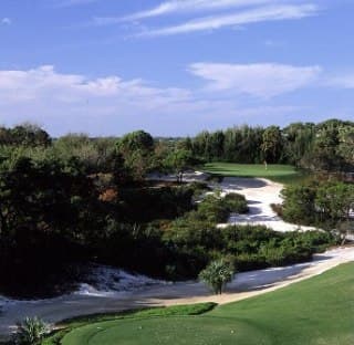 course image