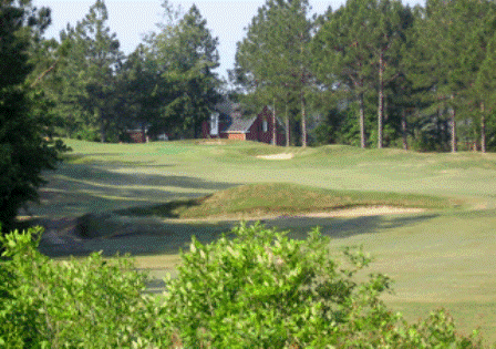 course image