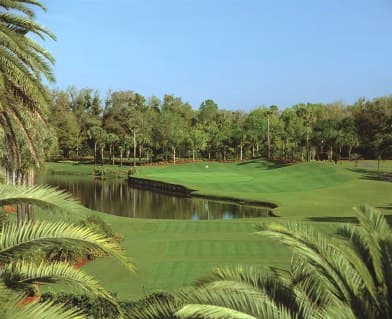 course image