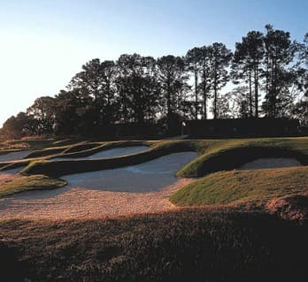 course image