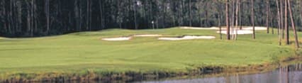 course image