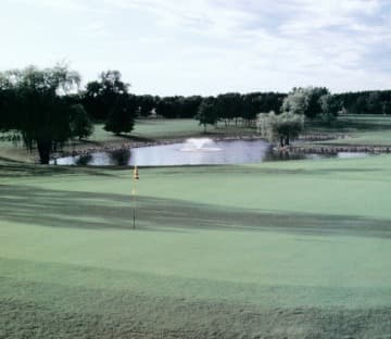 course image