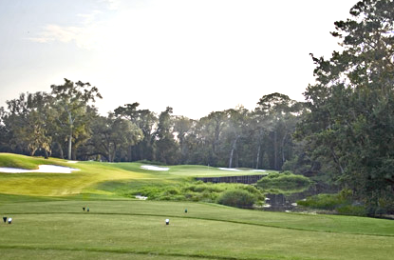 course image