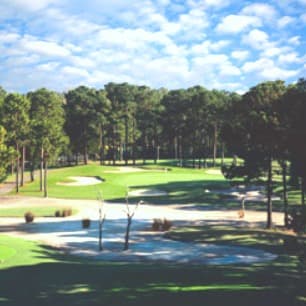 course image