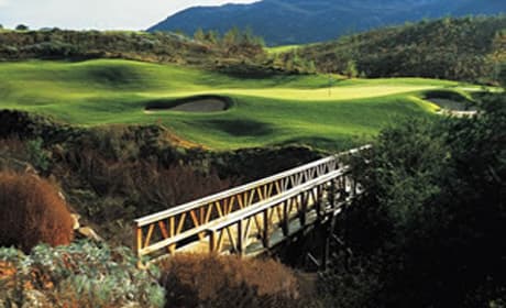 course image