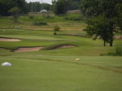 course image