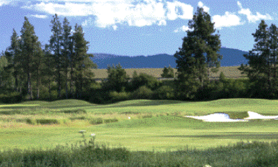 course image