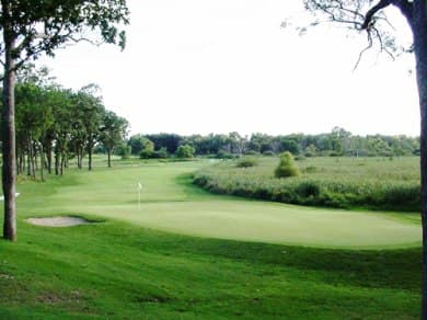 course image