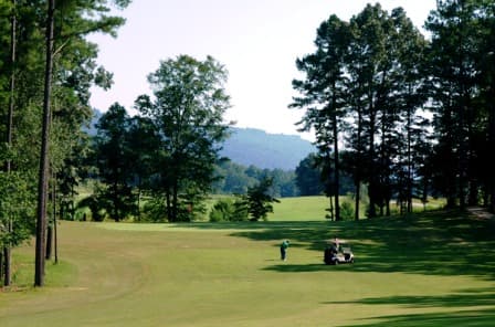 course image