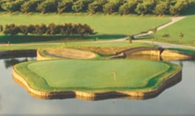 course image