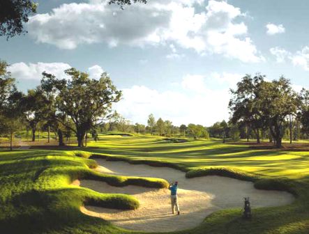 course image