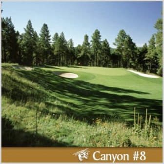 course image