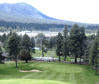 course image