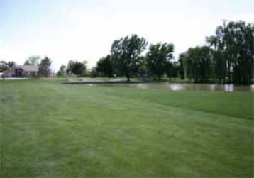 course image