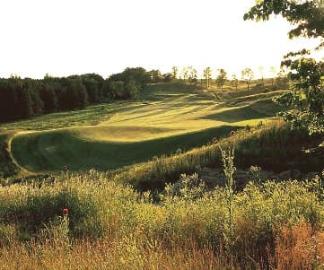 course image