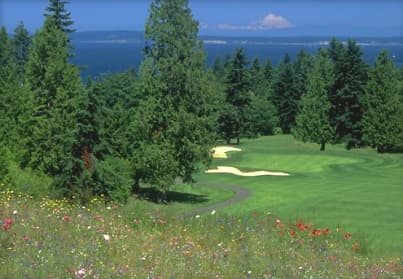 course image