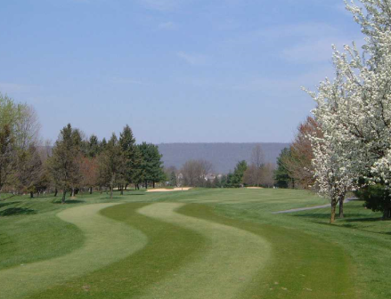 course image