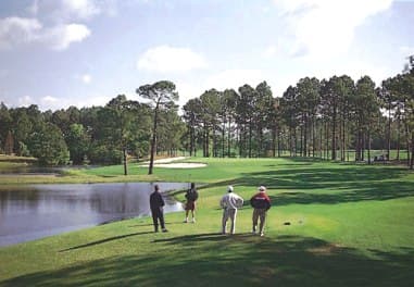 course image