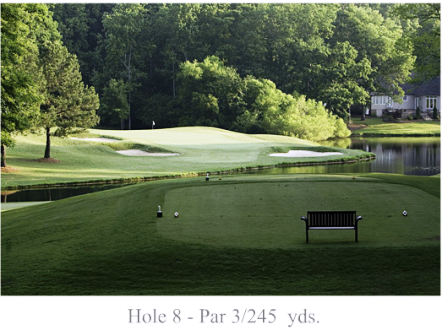 course image