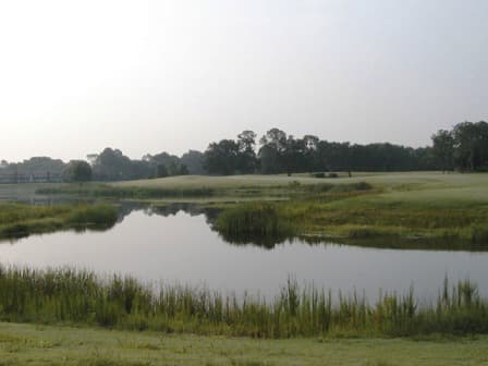 course image