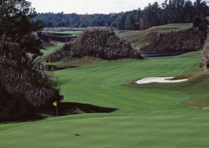 course image