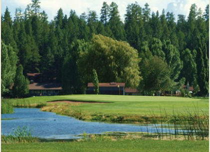 course image