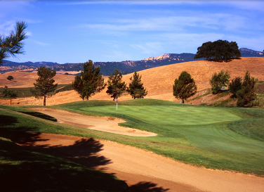 course image