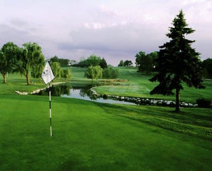 course image