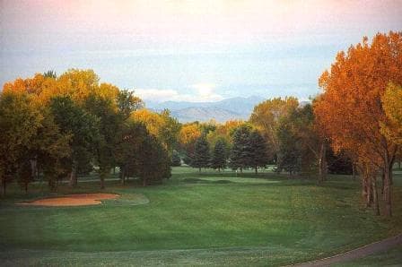 course image