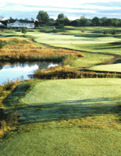 course image