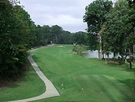 course image