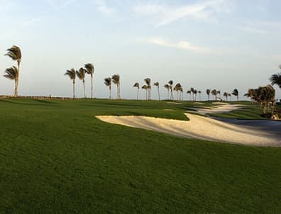 course image