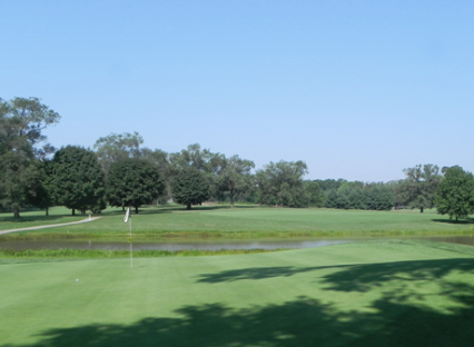 course image