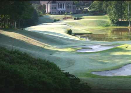 course image