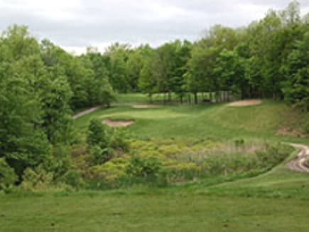 course image