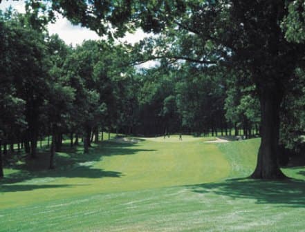 course image