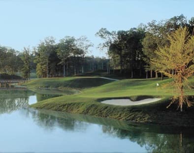 course image