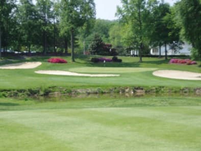 course image