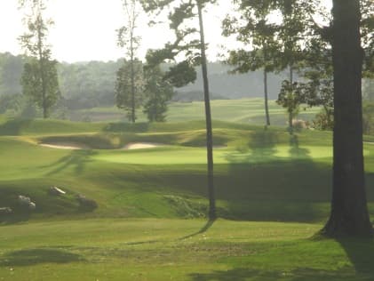 course image