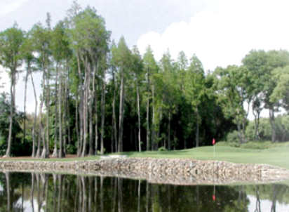 course image