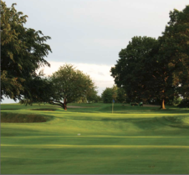 course image