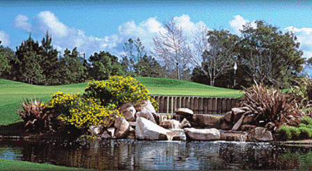 course image