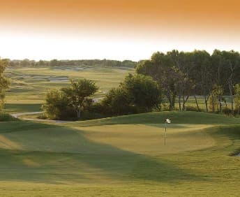 course image