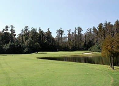 course image