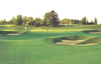 course image