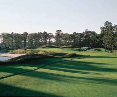 course image