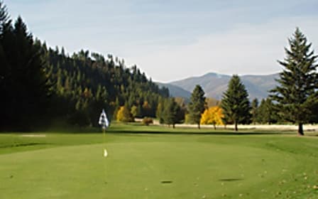 course image